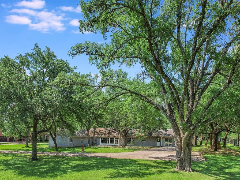 780 Oakdale Drive, Sunset Valley, Texas image 3