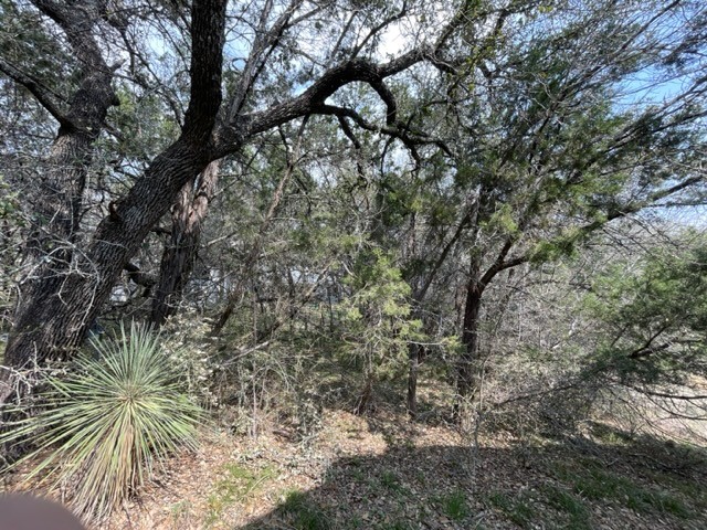 Lot 311 Rolling Hills Drive, Spicewood, Texas image 3