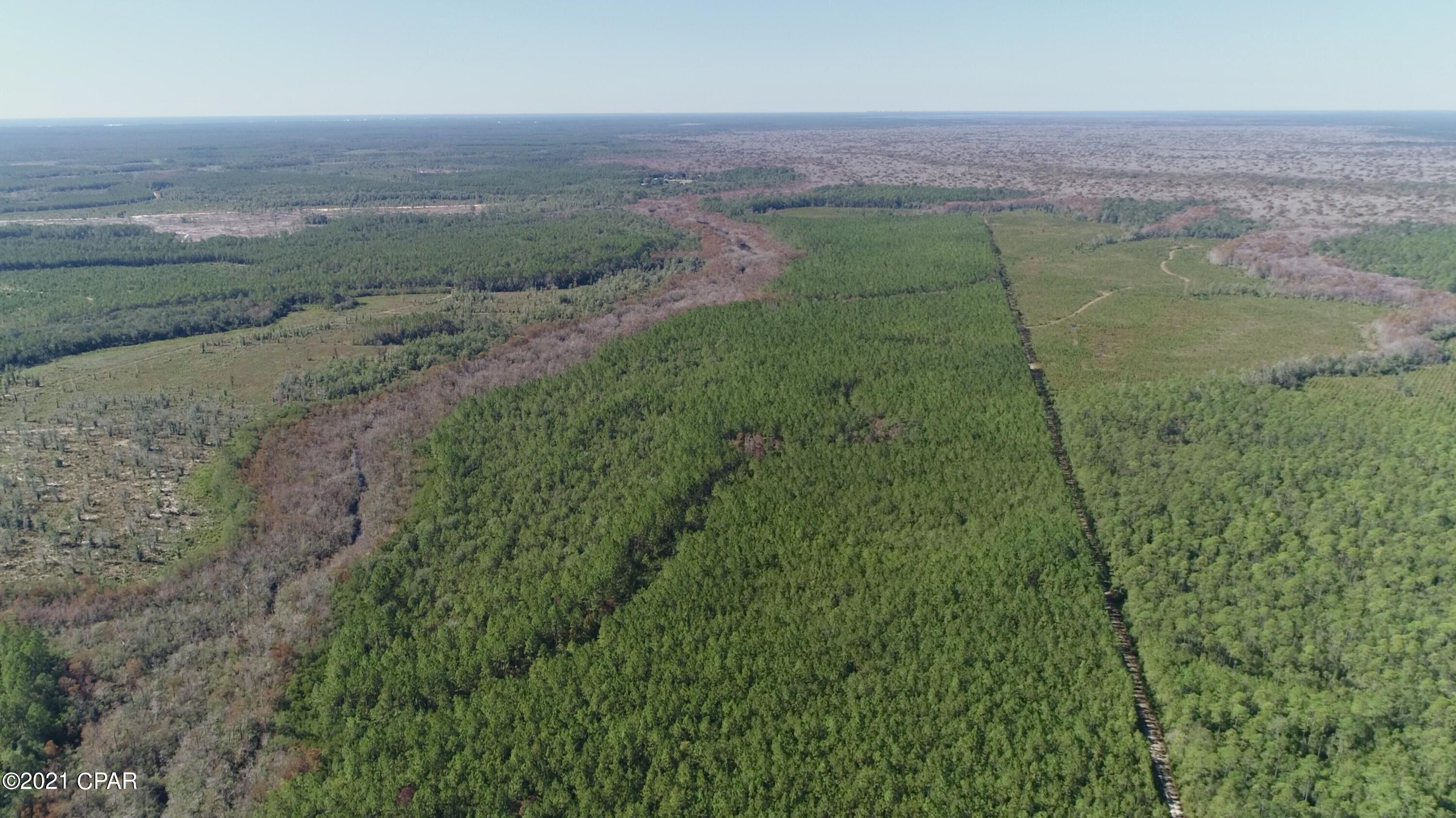 00 Otter Creek Bridge Rd, Ebro, Florida image 2