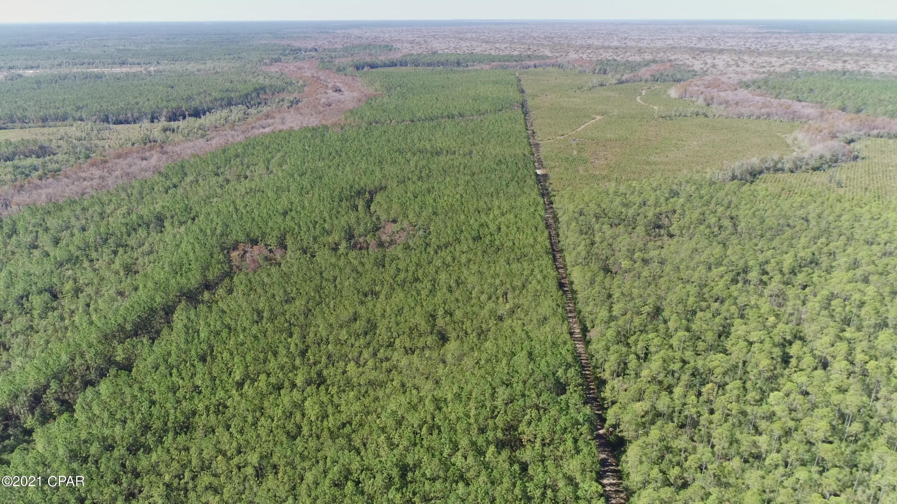 00 Otter Creek Bridge Rd, Ebro, Florida image 6