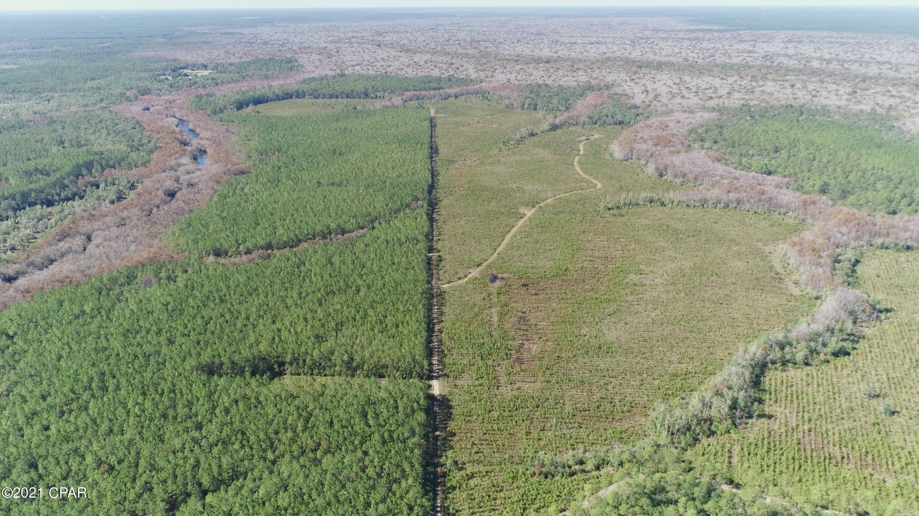 00 Otter Creek Bridge Rd, Ebro, Florida image 7