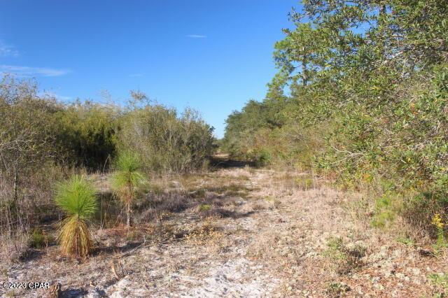 Image 10 For 0 Lake Mckenzie Boulevard