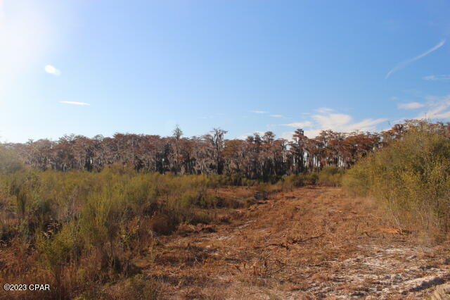 Image 11 For 0 Lake Mckenzie Boulevard