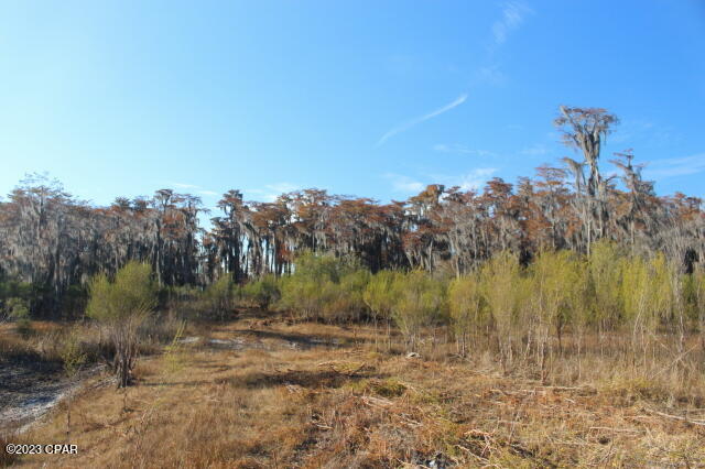 Image 12 For 0 Lake Mckenzie Boulevard