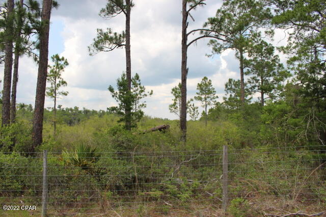 Image 14 For 0 Lake Mckenzie Boulevard