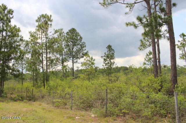 Image 15 For 0 Lake Mckenzie Boulevard