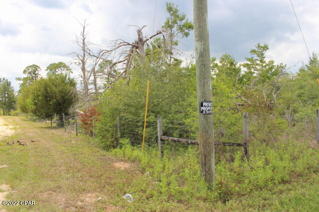 Image 17 For 0 Lake Mckenzie Boulevard