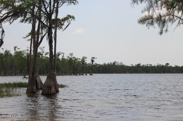 Image 20 For 0 Lake Mckenzie Boulevard