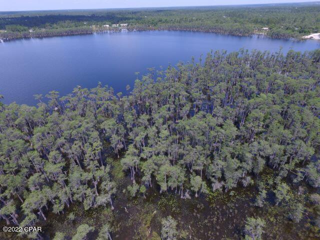 Image 36 For 0 Lake Mckenzie Boulevard