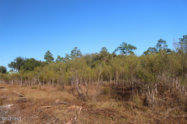 Image 39 For 0 Lake Mckenzie Boulevard