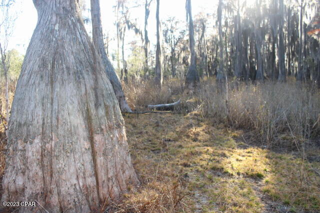 Image 40 For 0 Lake Mckenzie Boulevard