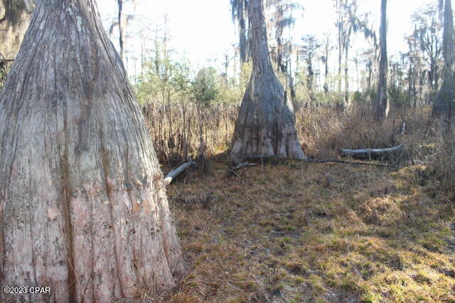 Image 41 For 0 Lake Mckenzie Boulevard