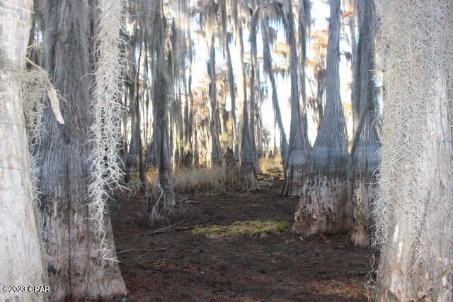 Image 42 For 0 Lake Mckenzie Boulevard