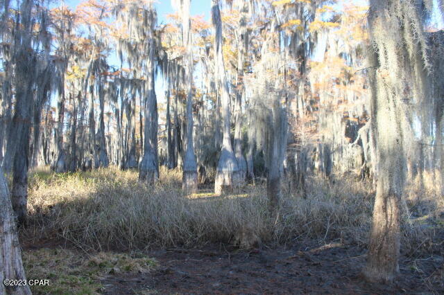 Image 43 For 0 Lake Mckenzie Boulevard