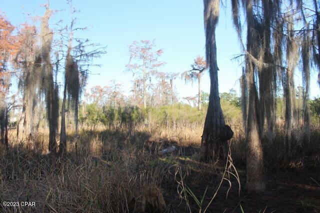 Image 44 For 0 Lake Mckenzie Boulevard