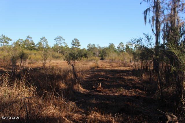 Image 47 For 0 Lake Mckenzie Boulevard