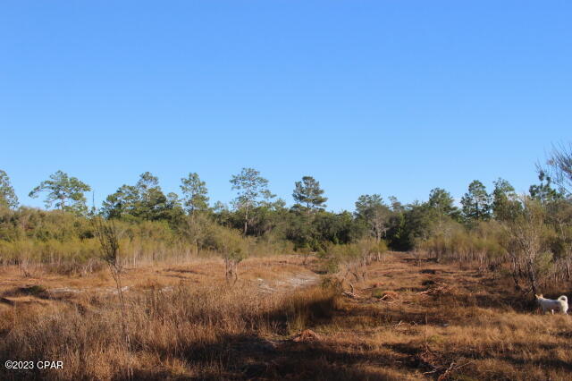 Image 48 For 0 Lake Mckenzie Boulevard