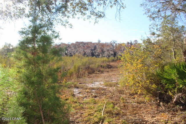 Image 8 For 0 Lake Mckenzie Boulevard