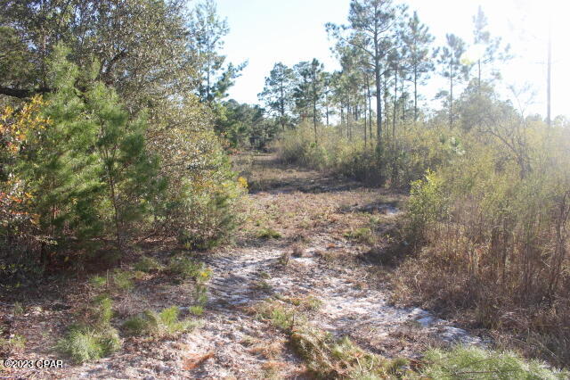 Image 9 For 0 Lake Mckenzie Boulevard