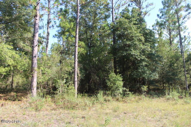 Photo of 0 Iroquois Chipley FL 32428