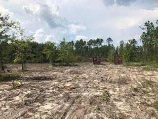22563 NW Lake Mckenzie Blvd, Altha, Florida image 1