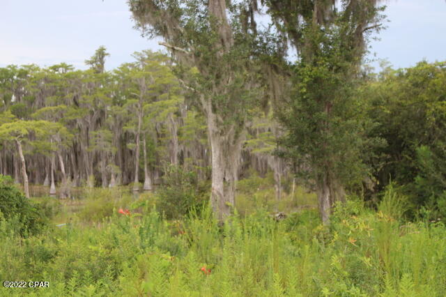 Image 1 For 21558 Lake Mckenzie Boulevard