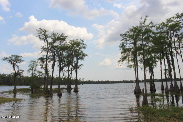 Image 10 For 21558 Lake Mckenzie Boulevard