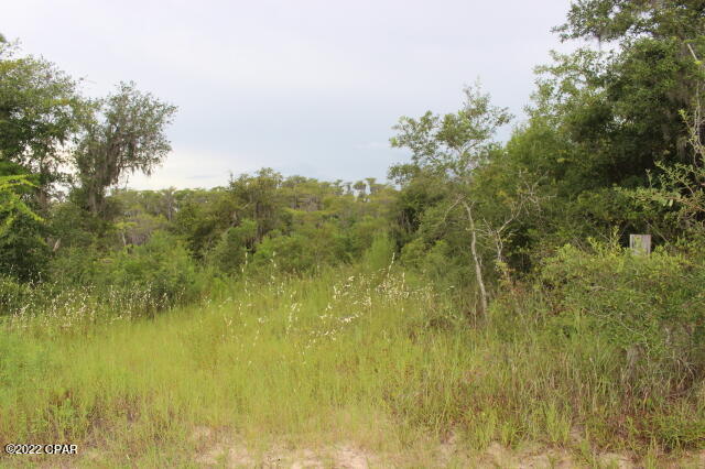 Image 5 For 21558 Lake Mckenzie Boulevard