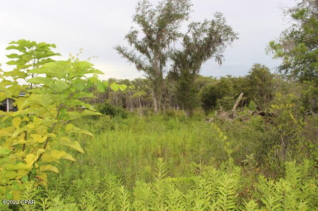 Image 6 For 21558 Lake Mckenzie Boulevard