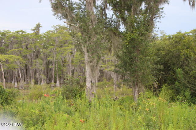 Image 7 For 21558 Lake Mckenzie Boulevard