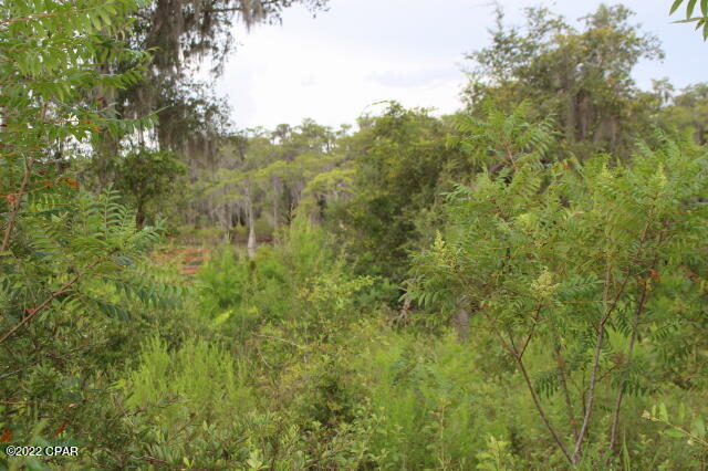 Image 9 For 21558 Lake Mckenzie Boulevard