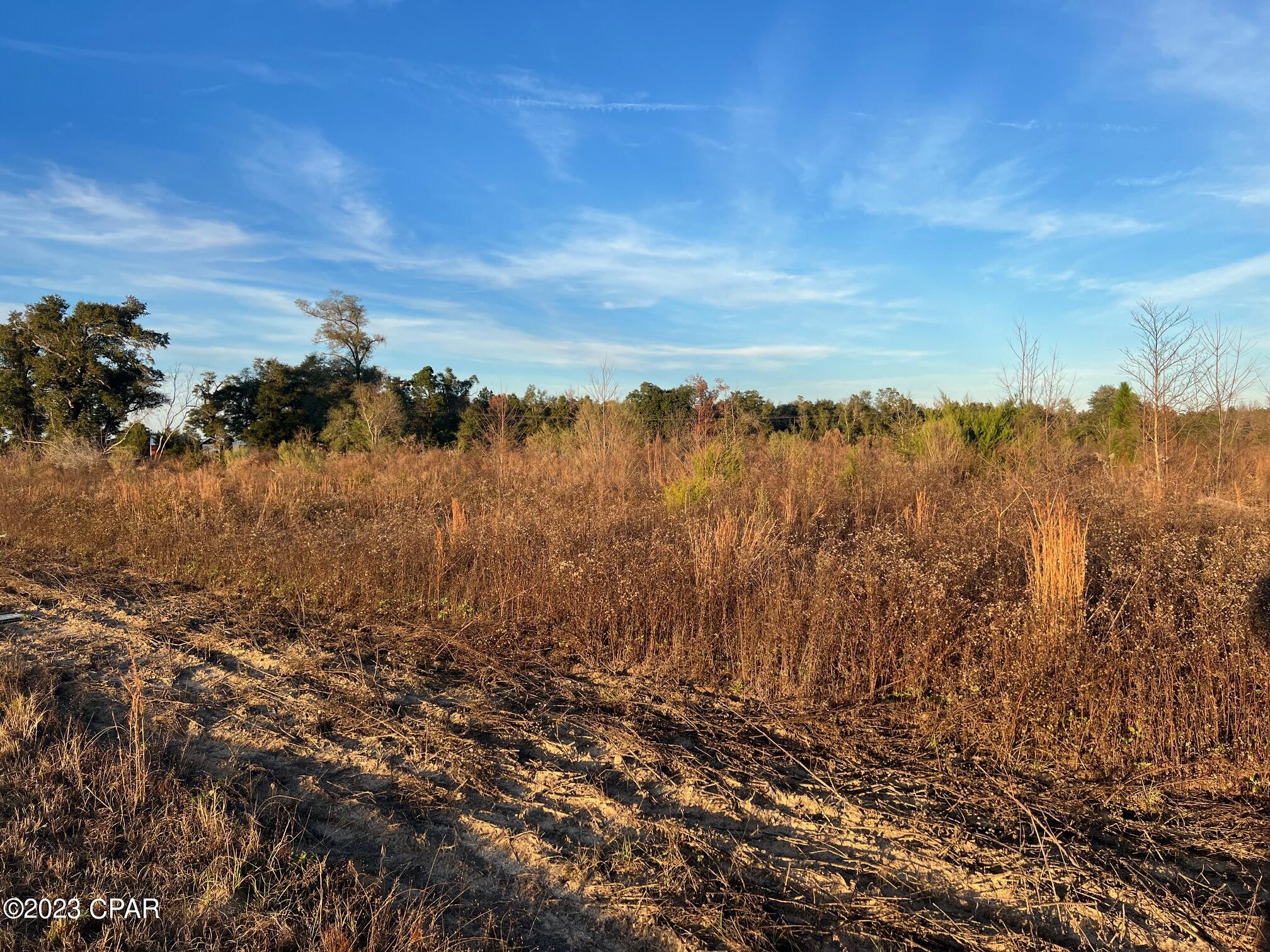 00 Wintergreen Road, Bascom, Florida image 4