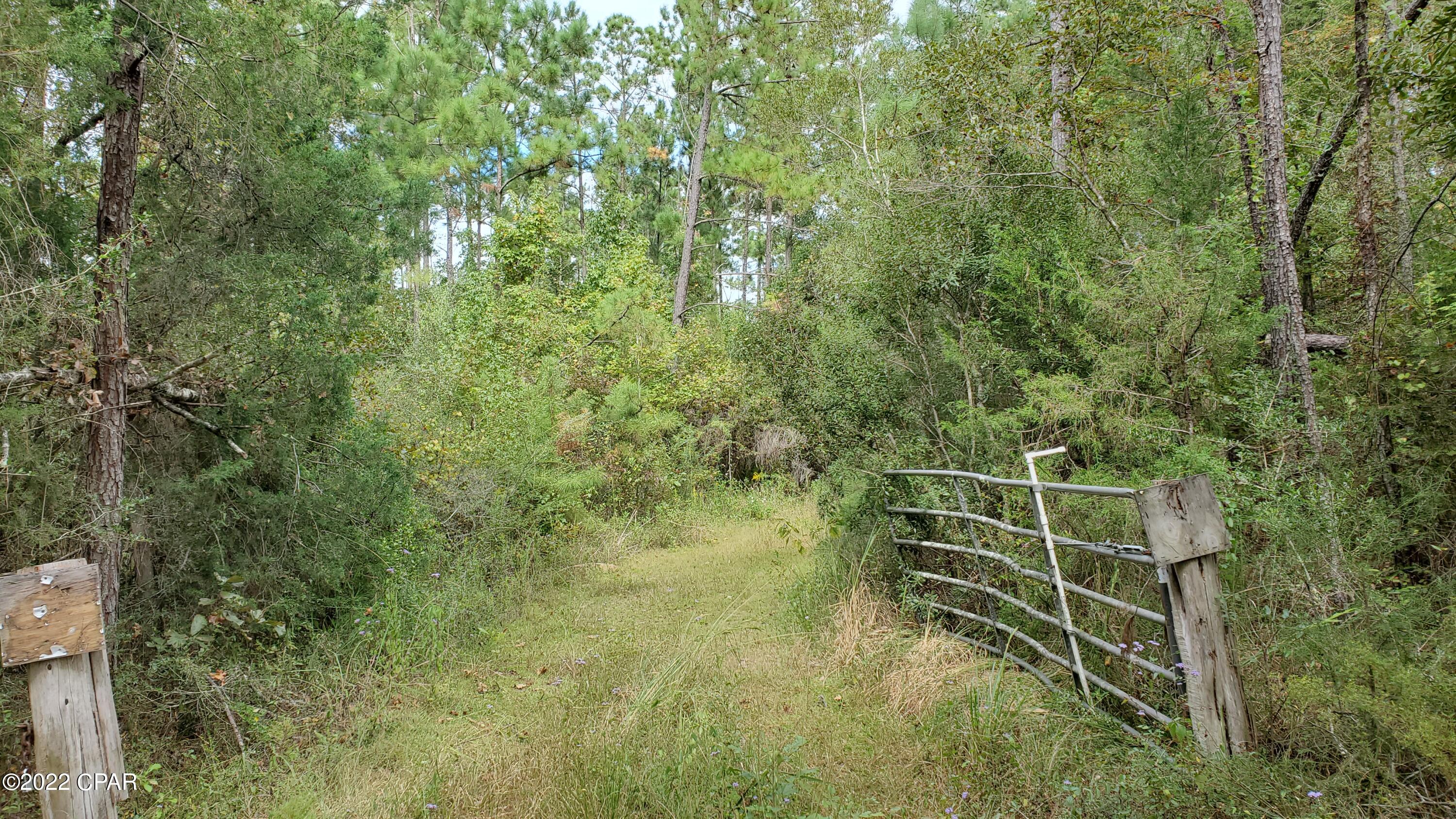 Details for 00 Buttercup Lane, Marianna, FL 32446