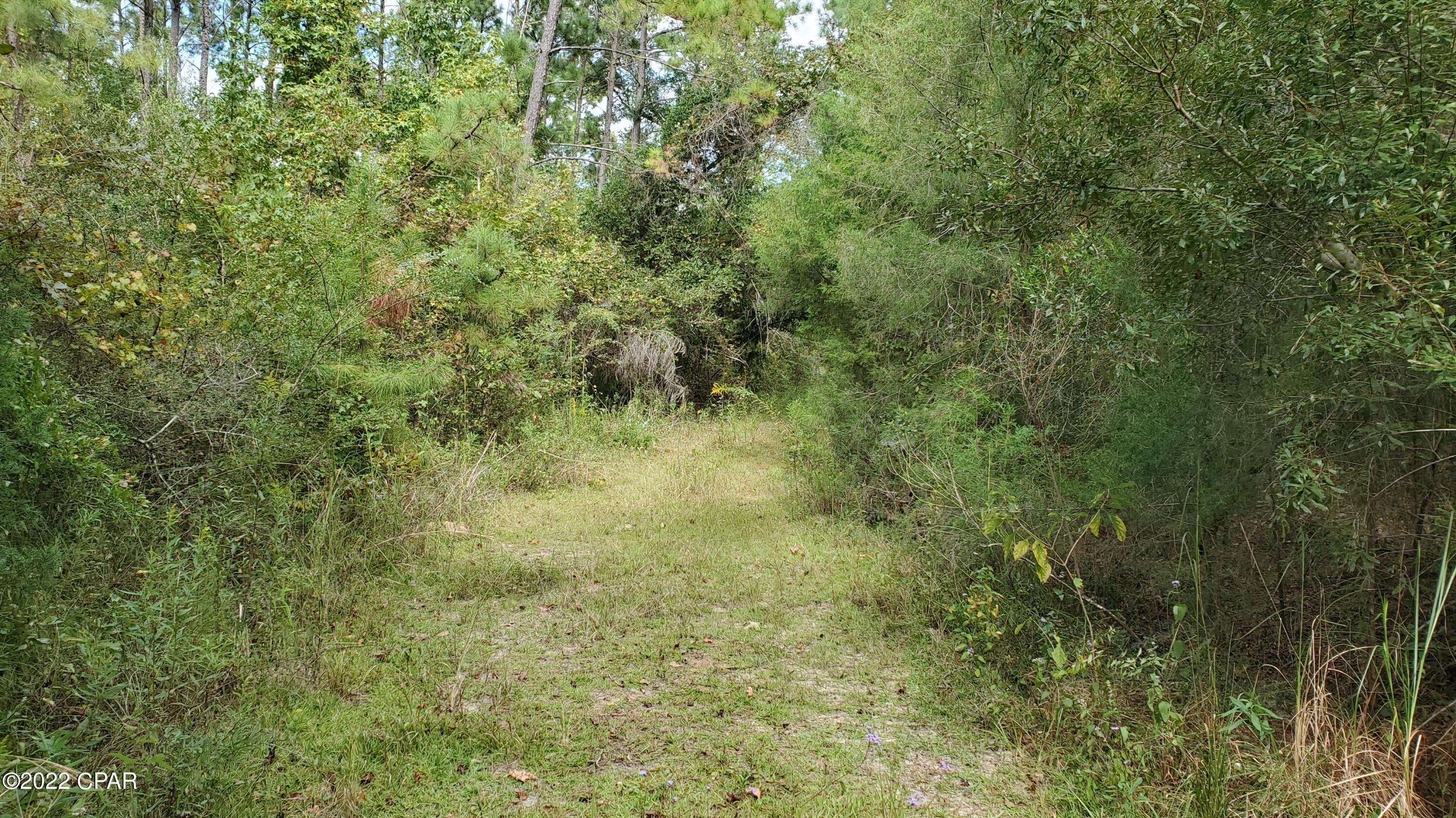 Image 2 For 00 Buttercup Lane