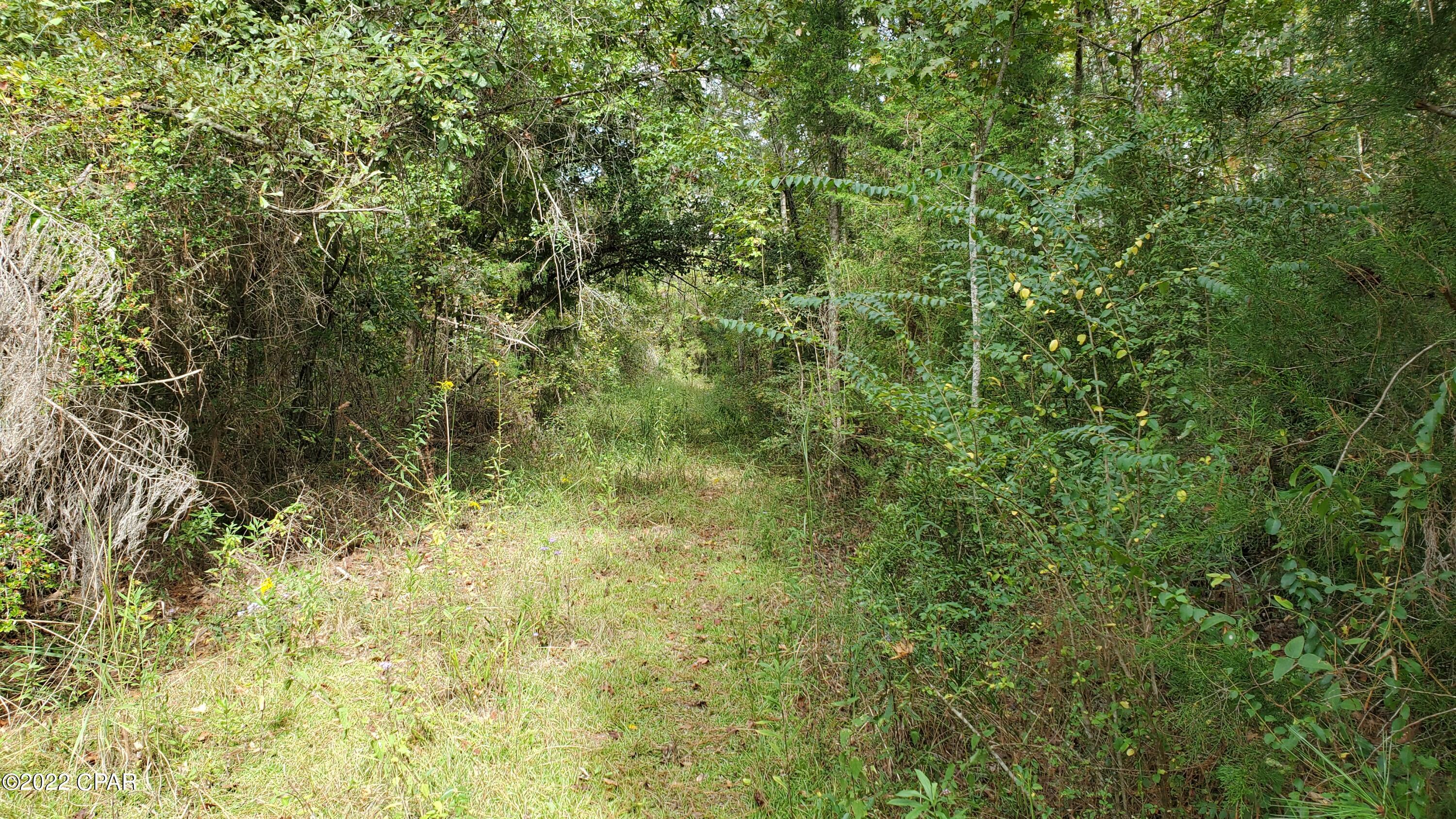 Image 3 For 00 Buttercup Lane