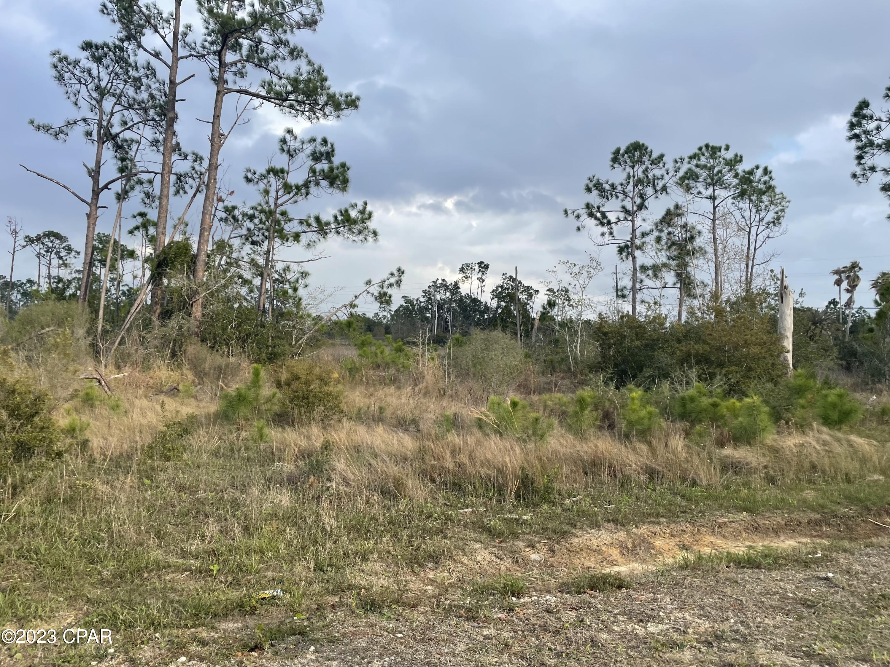 Smith Road, Southport, Florida image 3