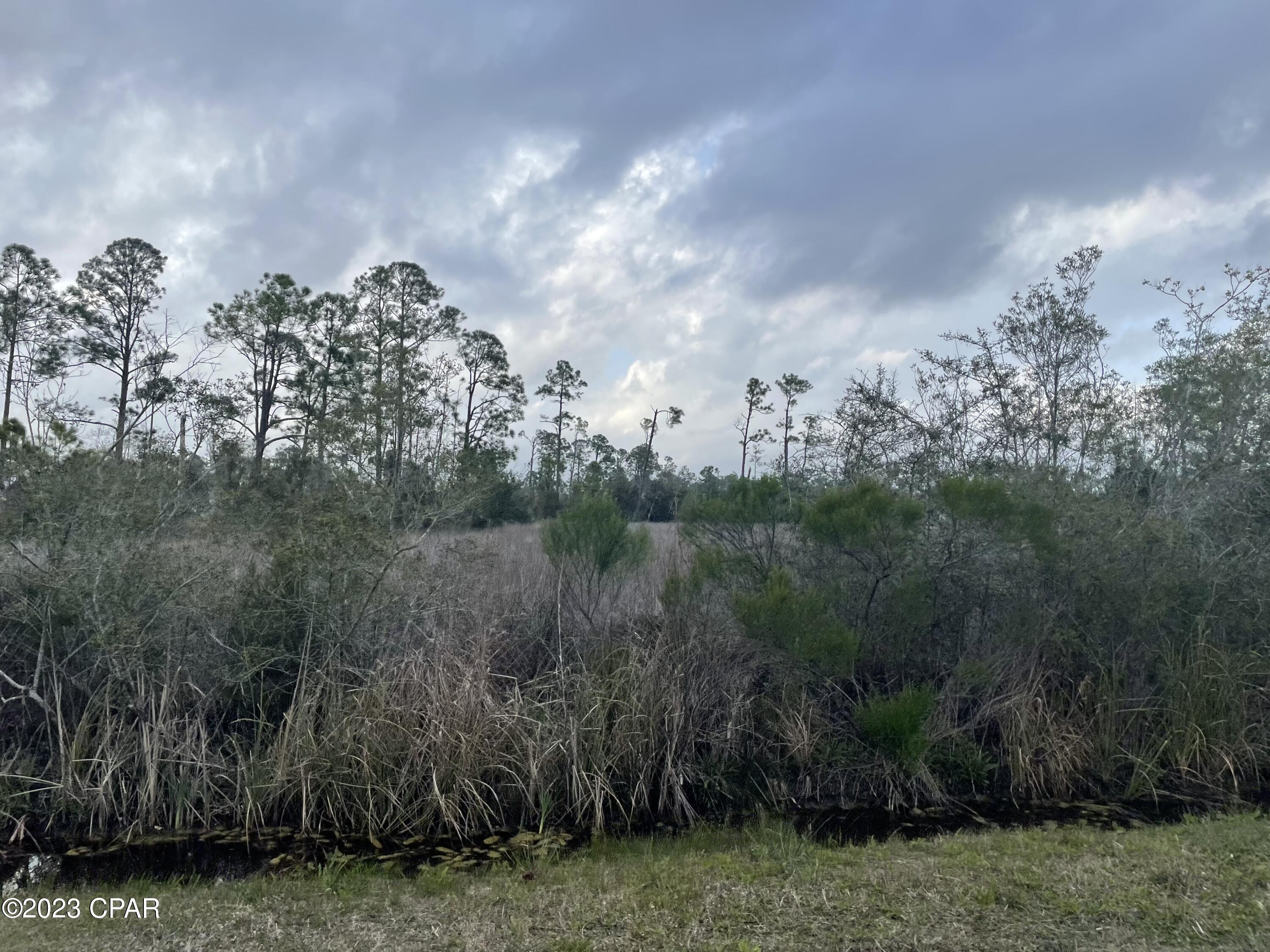 Smith Road, Southport, Florida image 4