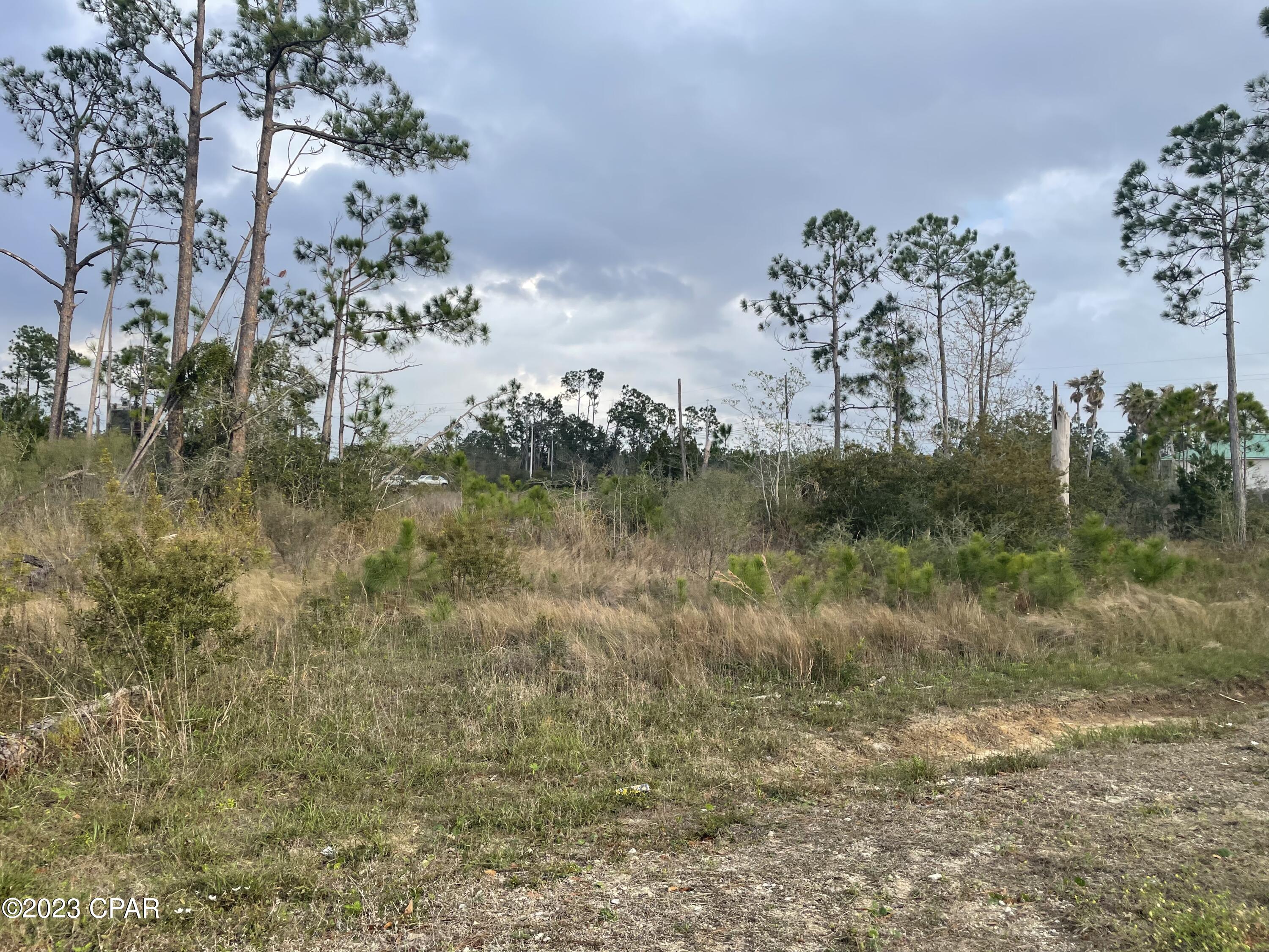 Smith Road, Southport, Florida image 5