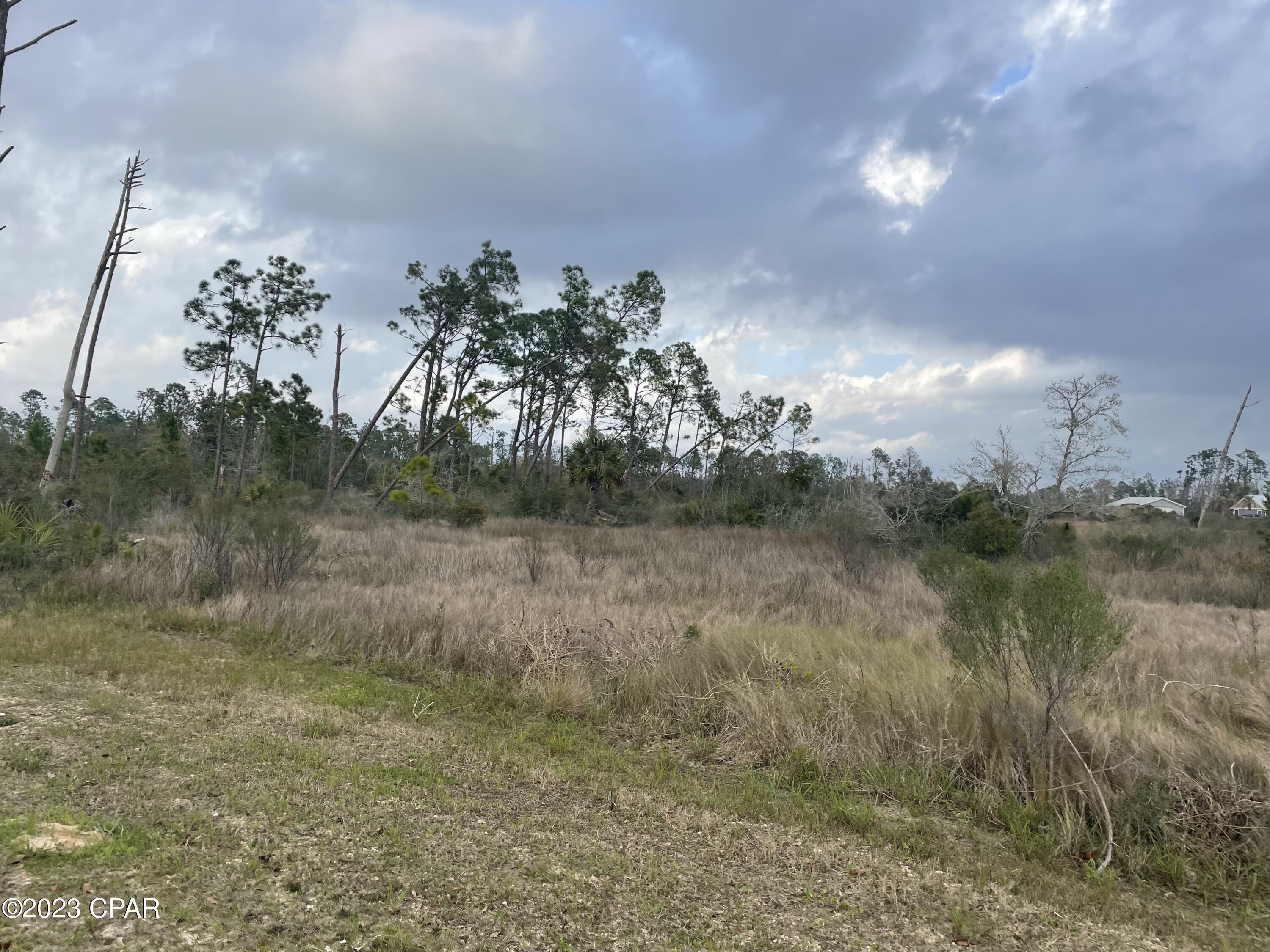 Smith Road, Southport, Florida image 6