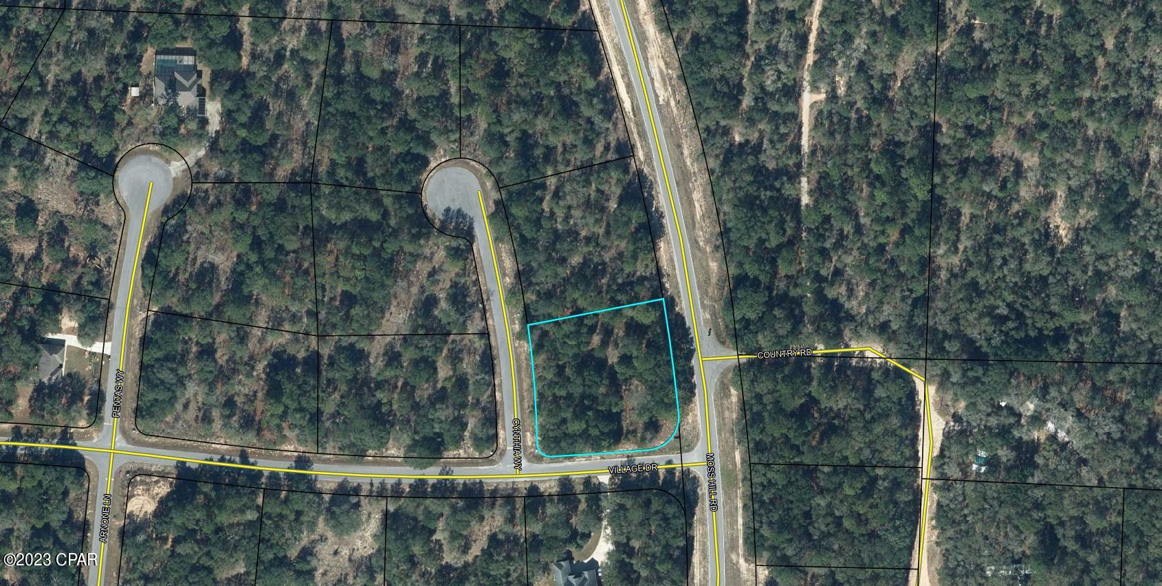 Listing Details for Lot 22 Cynthia Way, Chipley, FL 32428