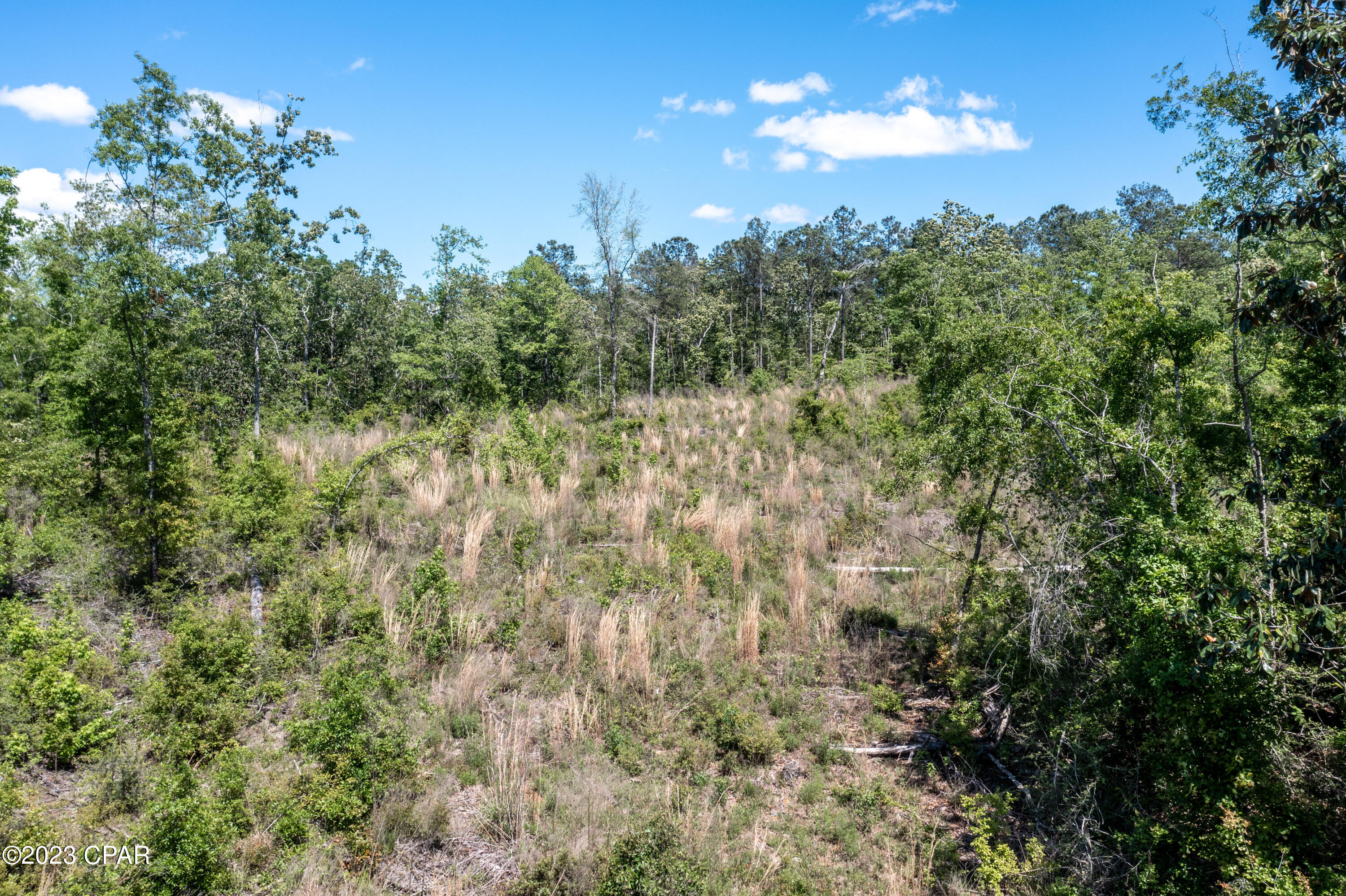 Image 13 For 00 Pioneer Road