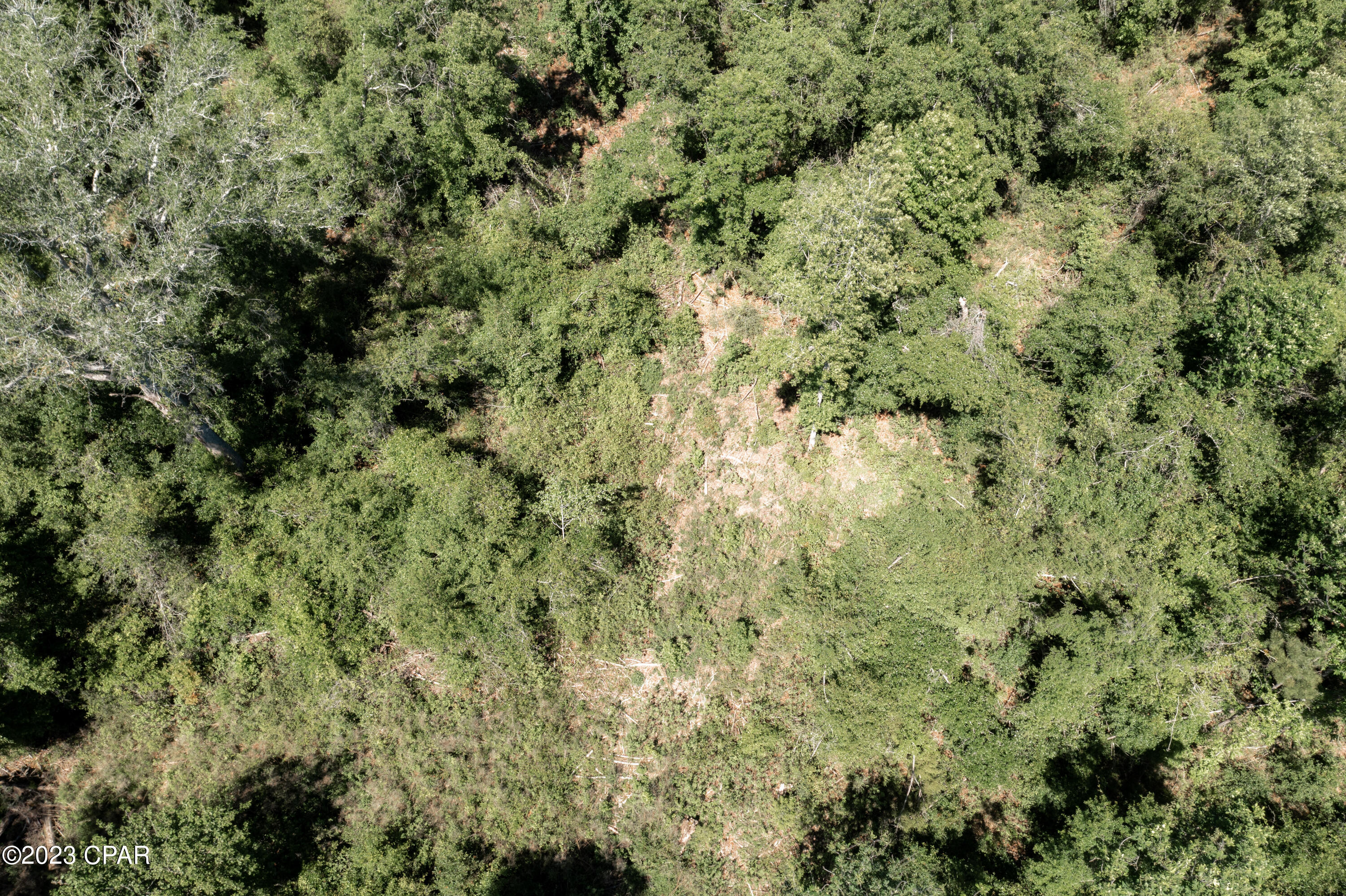 Image 14 For 00 Pioneer Road