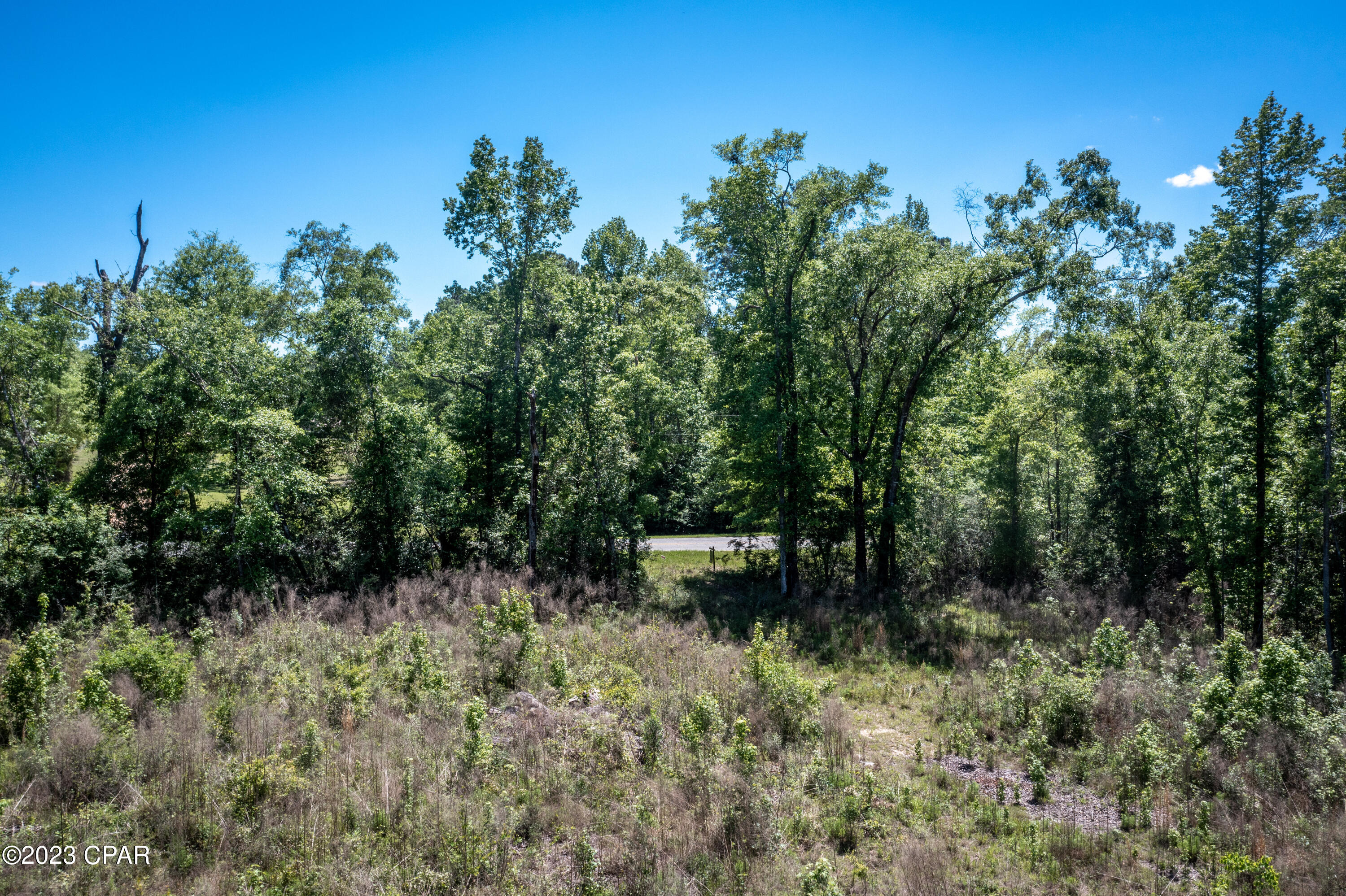 Image 16 For 00 Pioneer Road