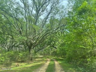 Photo of Lot 54 Alder Rd Reedy Creek Crossing Westville FL 32464