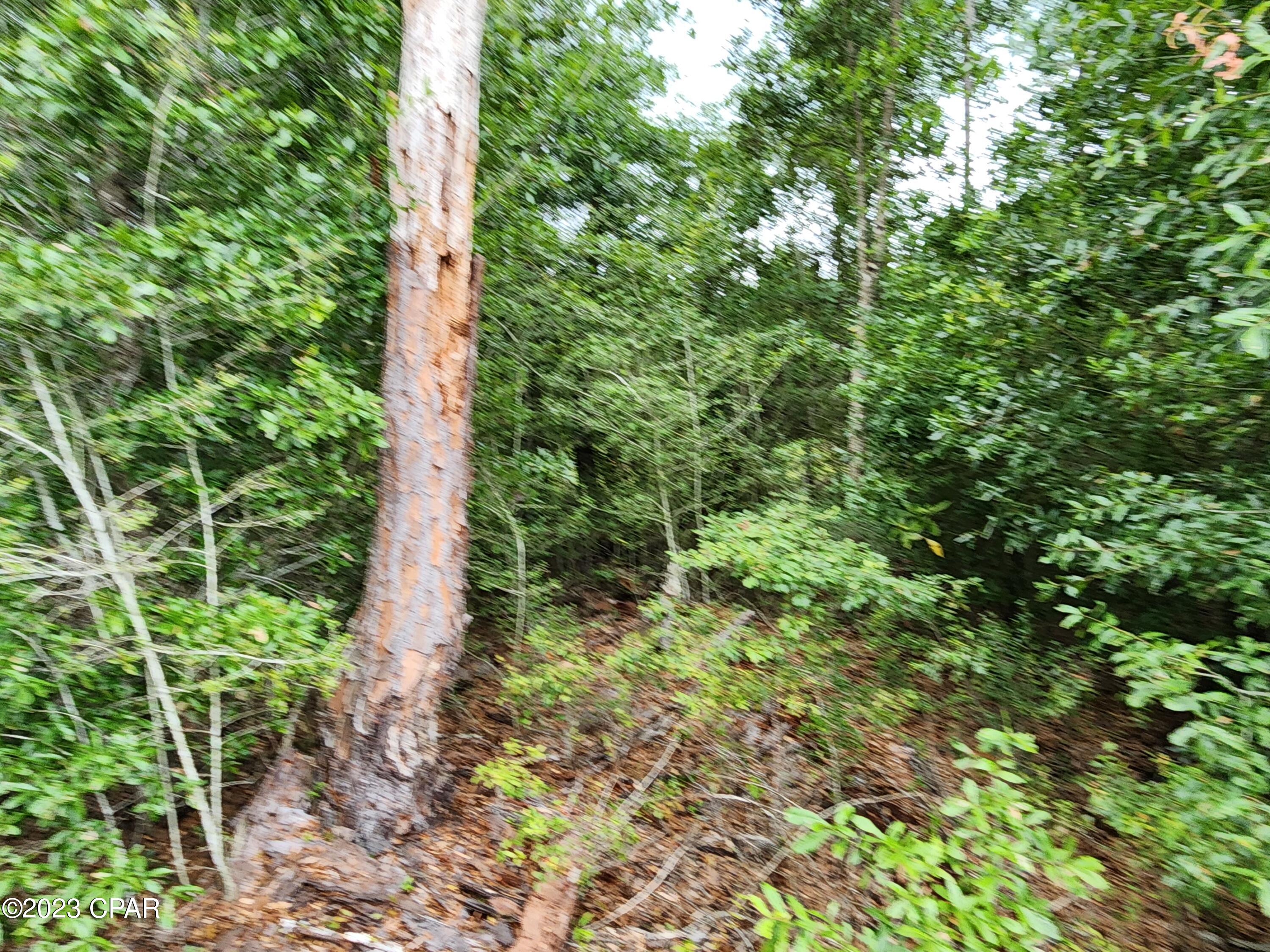 Lakepoint Road #LOT 7, Alford, Florida image 8