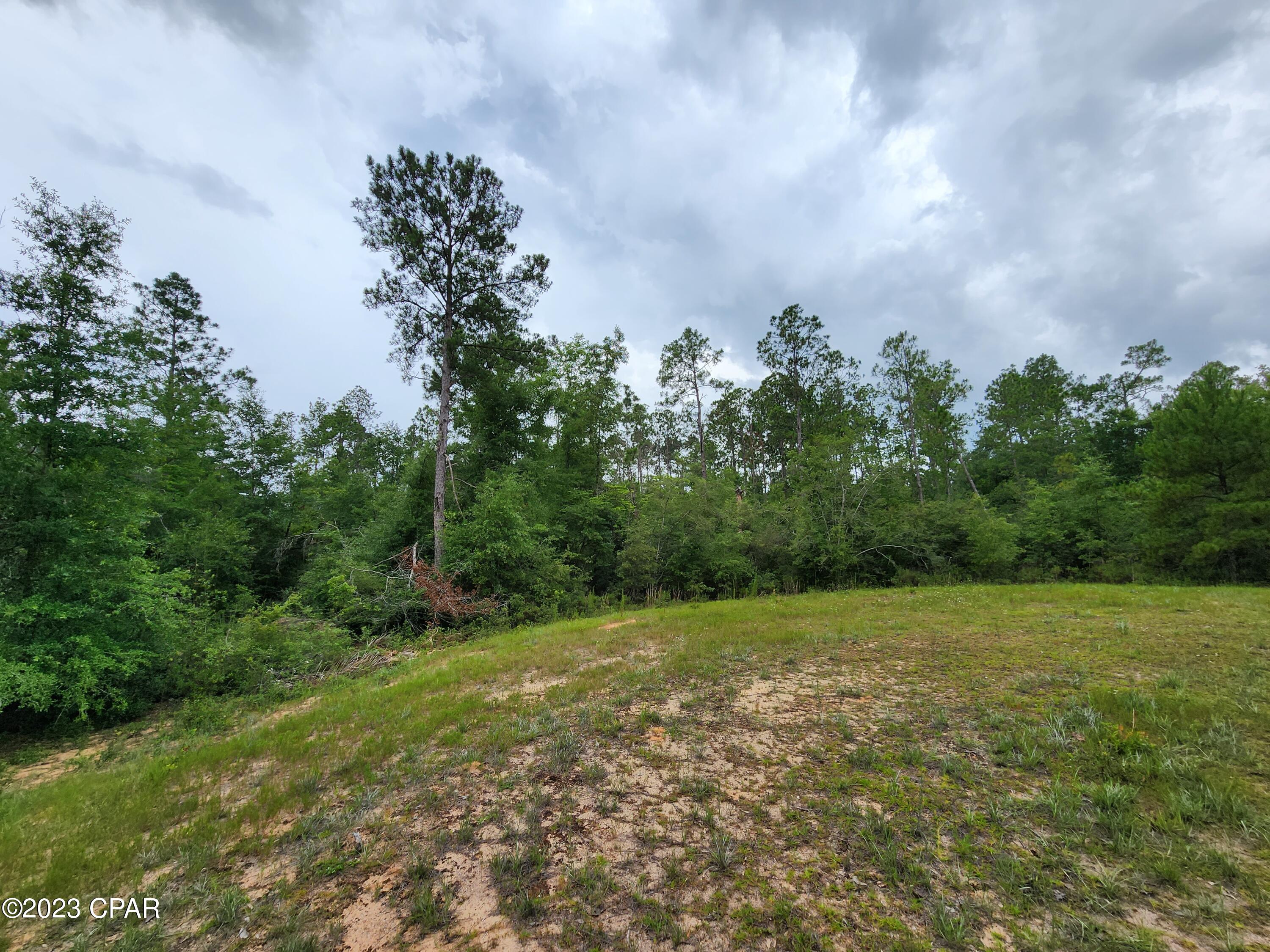 Reed Court #LOT 14, Alford, Florida image 6