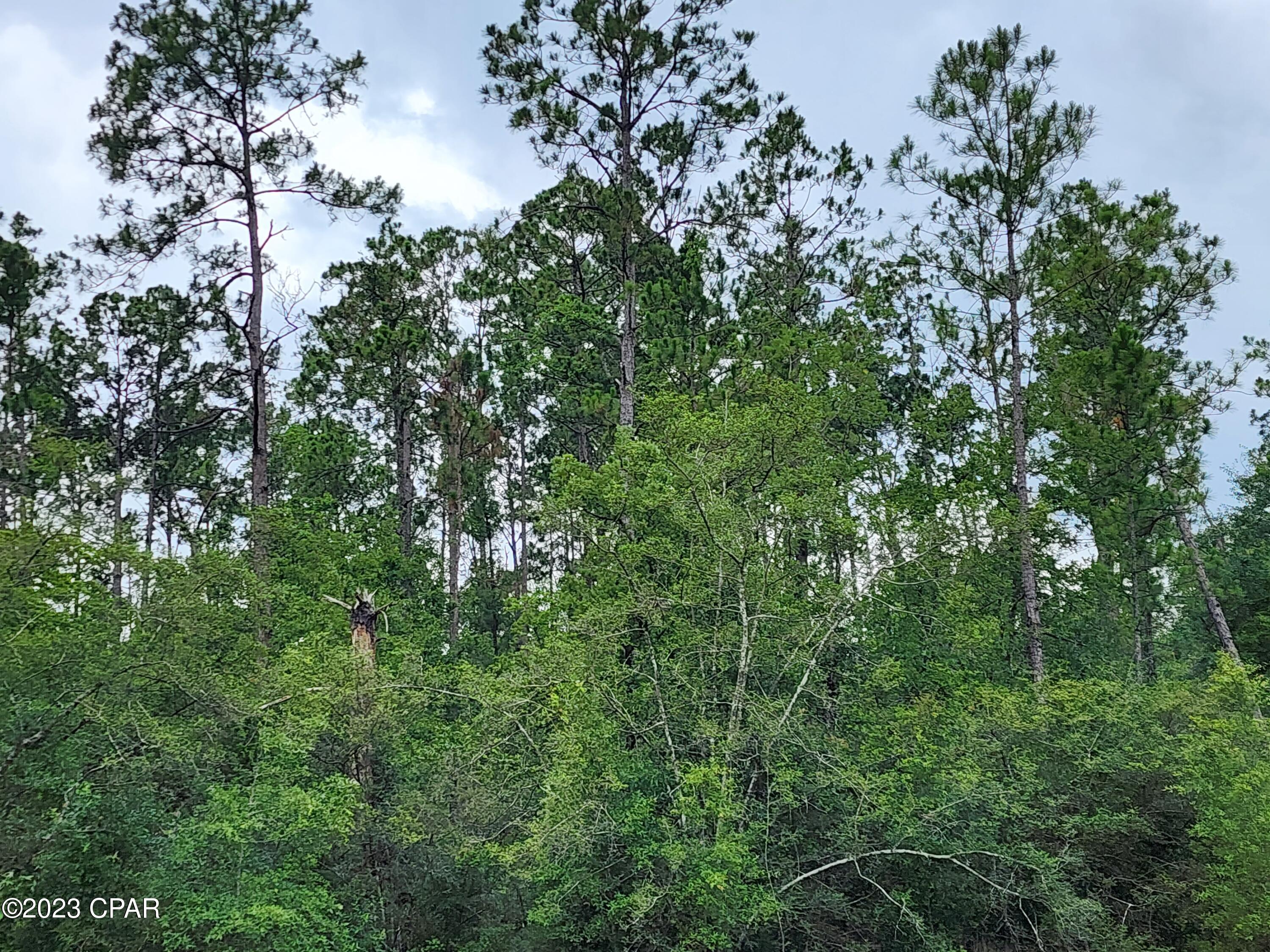 Reed Court #LOT 14, Alford, Florida image 8