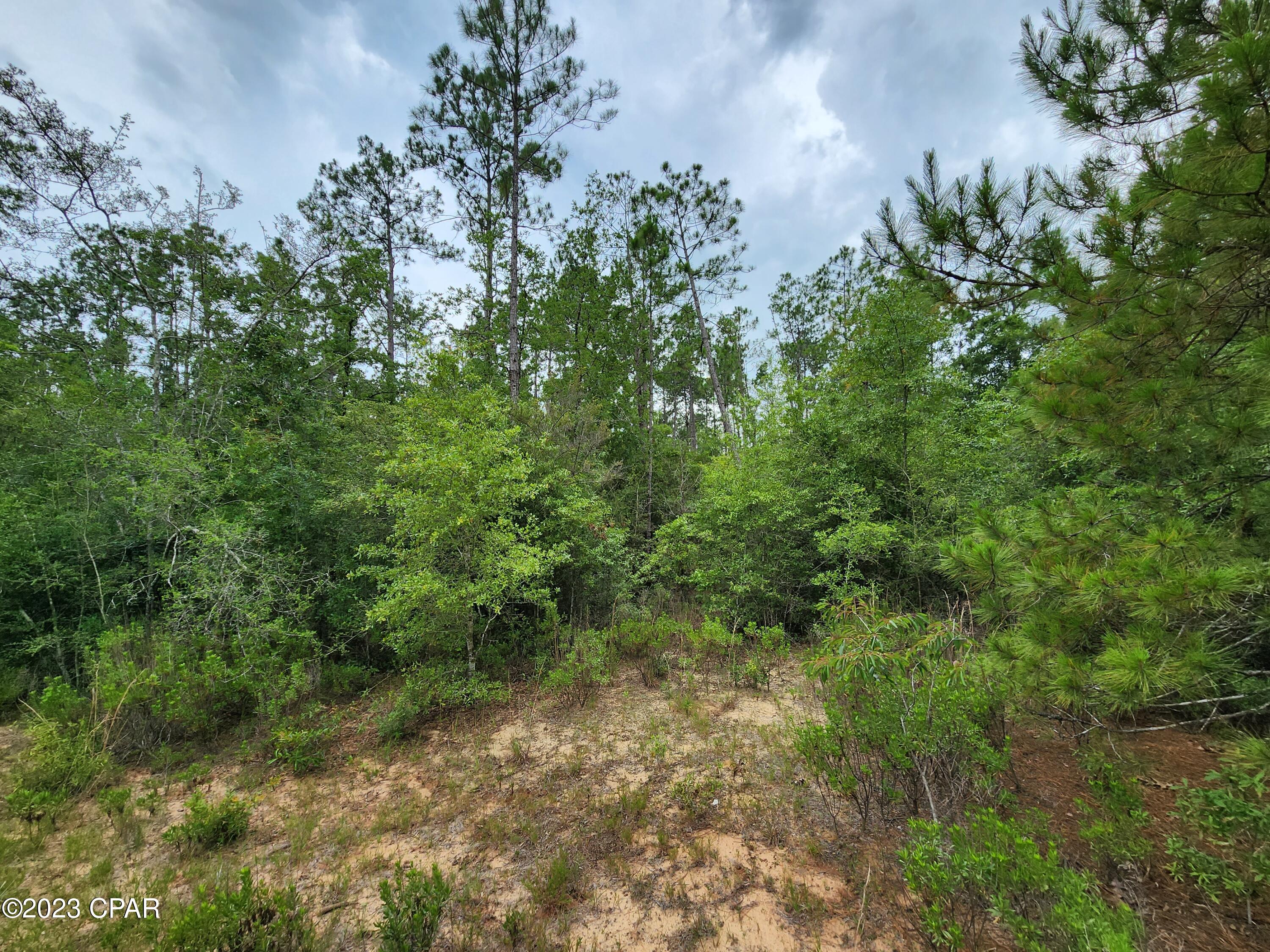 Reed Court #LOT 14, Alford, Florida image 9