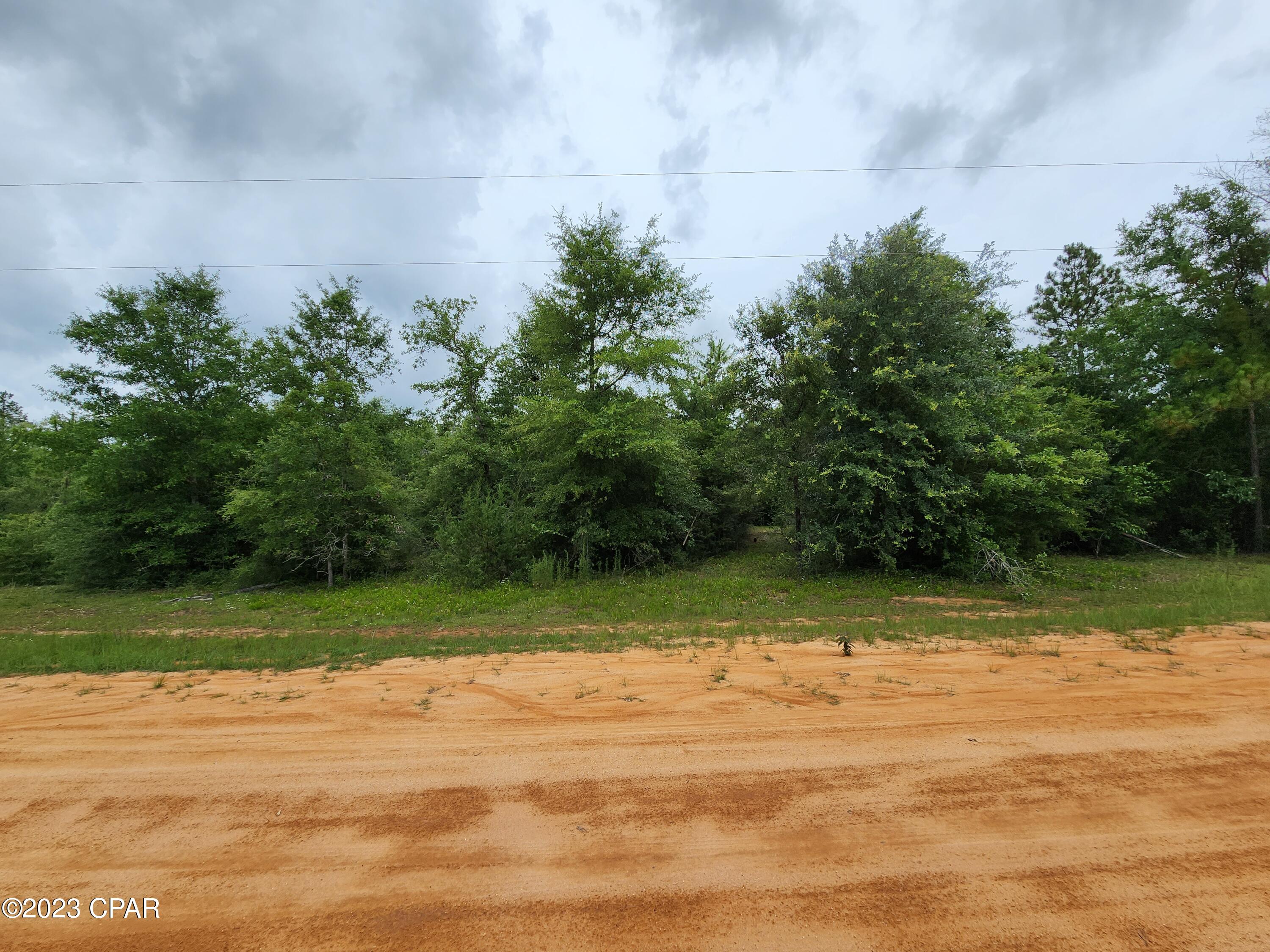 Onida Street #LOT 5, Alford, Florida image 8