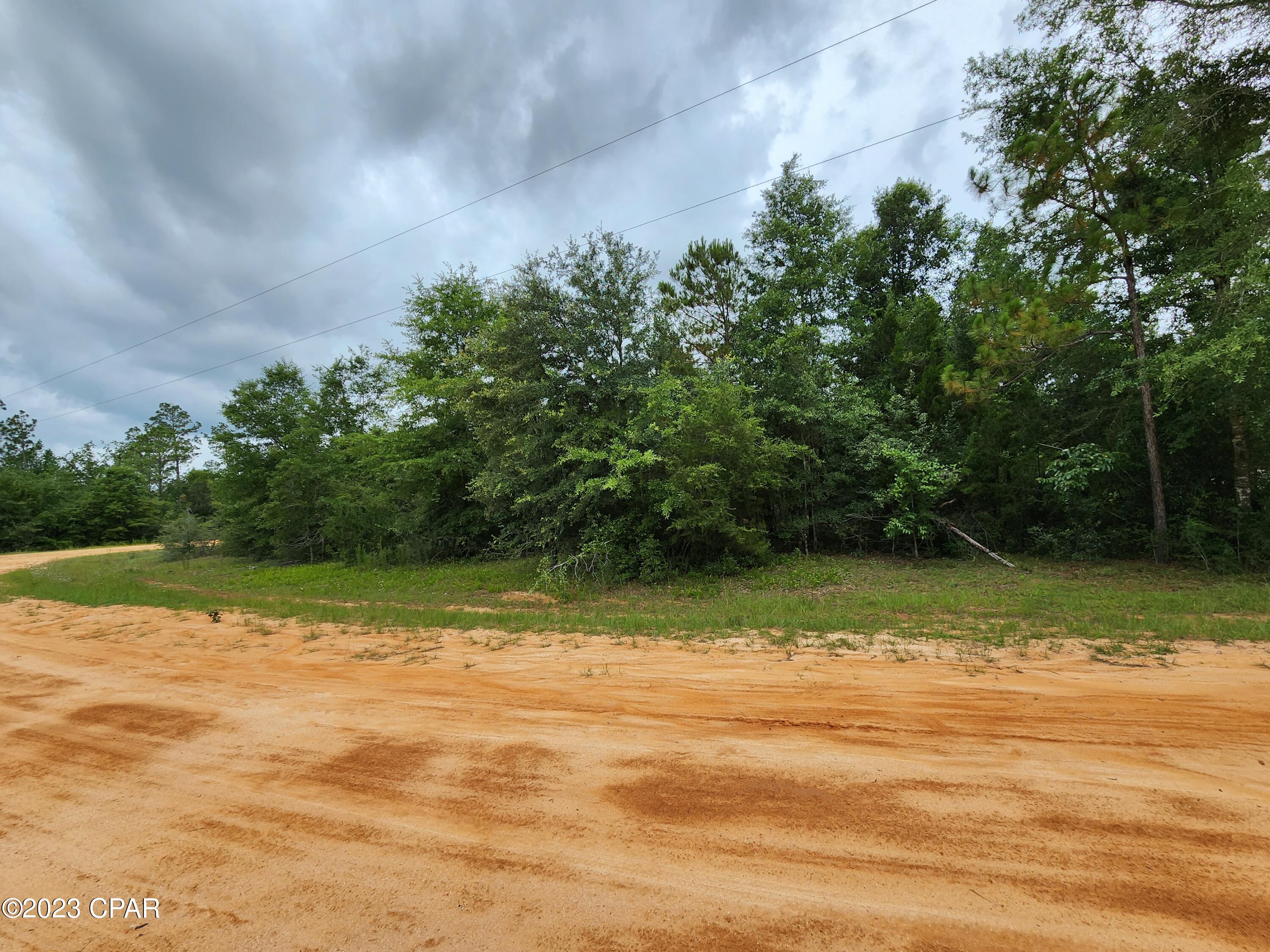 Onida Street #LOT 5, Alford, Florida image 9